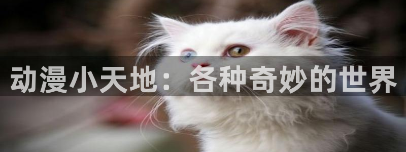 汗汗漫画章节列表：动漫小天地：各种奇妙的世界配图