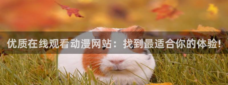 汗汗漫画精选推荐:优质在线观看动漫网站:找到最适合你的体验!配图