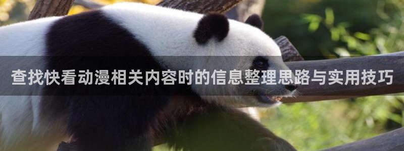 2026汗汗漫画排行:查找快看动漫相关内容时的信息整理思路与实用技巧配图