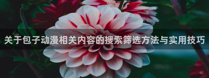汗汗漫画新作排行:关于包子动漫相关内容的搜索筛选方法与实用技巧配图
