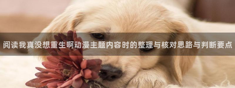 汗汗漫画搜索大全：阅读我真没想重生啊动漫主题内容时的整理与核对思路与判断要点配图