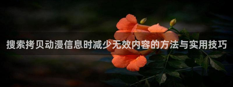 汗汗漫画大全新作:搜索拷贝动漫信息时减少无效内容的方法与实用技巧配图